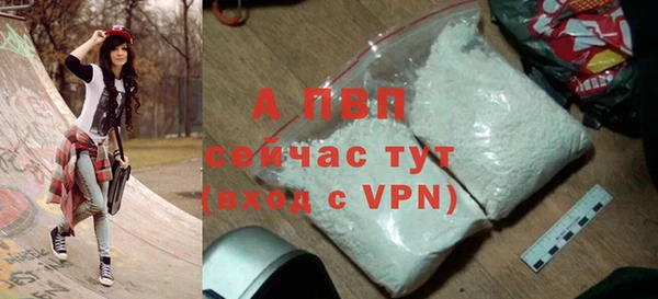 spice Богданович