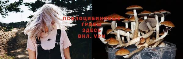 соль ск Балахна