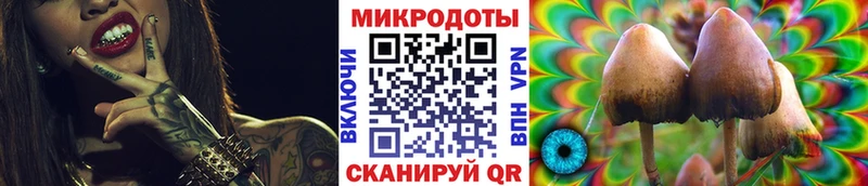 кракен   Верея  Галлюциногенные грибы мицелий  продажа наркотиков 